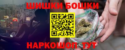 прущие грибы Усть-Джегута