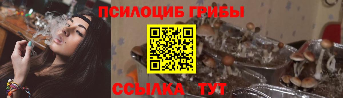 Псилоцибиновые грибы GOLDEN TEACHER  закладка  Нефтеюганск  Вход с VPN 